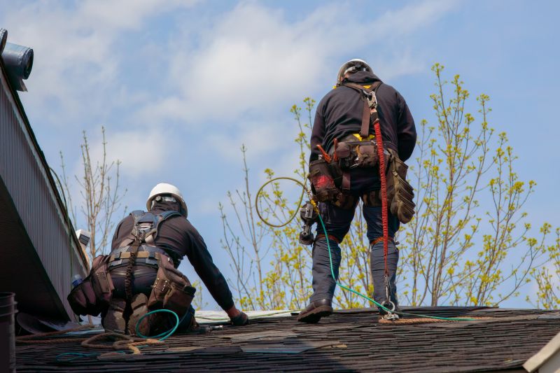 Skilled Roofing Professionals