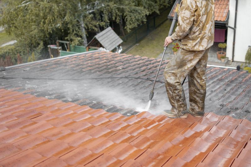 Professional Roofing Service